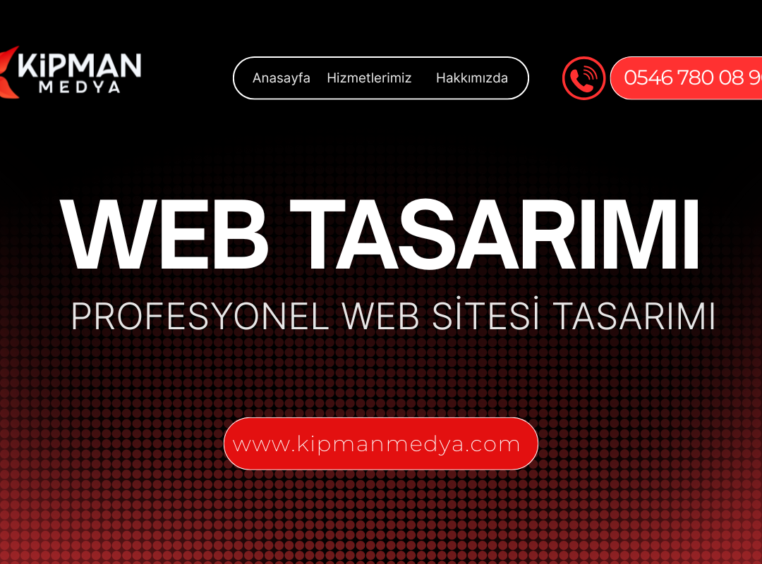 Profesyonel Web Sitesi Paketi
